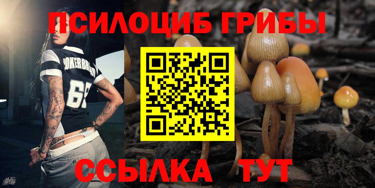 Галлюциногенные грибы мицелий Моздок