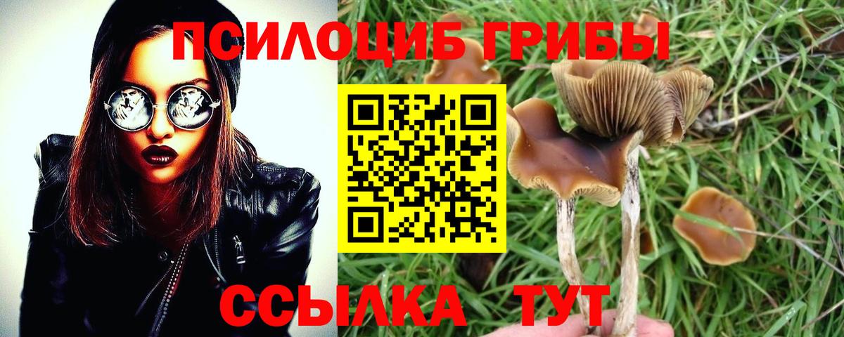 Моздок  Галлюциногенные грибы Psilocybine cubensis  Вход с VPN  Псилоцибиновые грибы MAGIC MUSHROOMS 